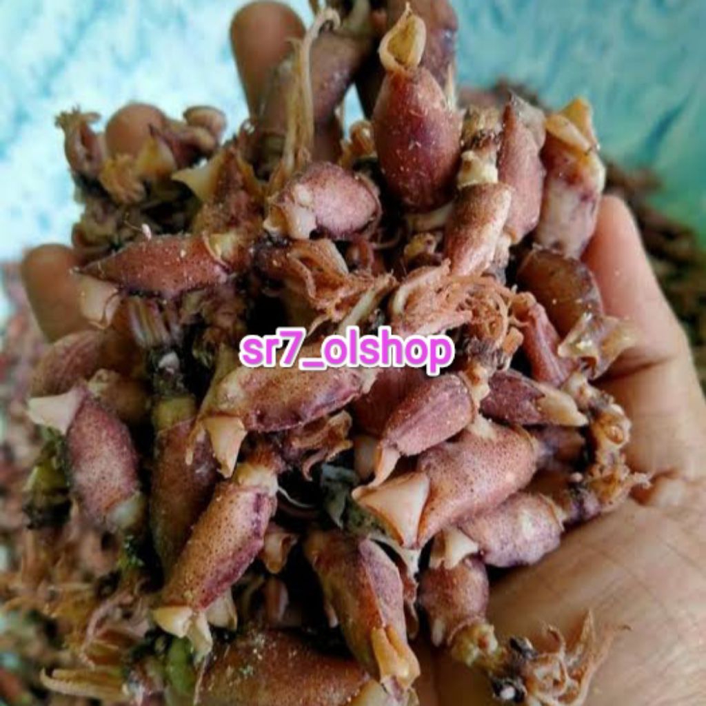 

Cumi Asin Sedang/ Besar Sedang 100gr