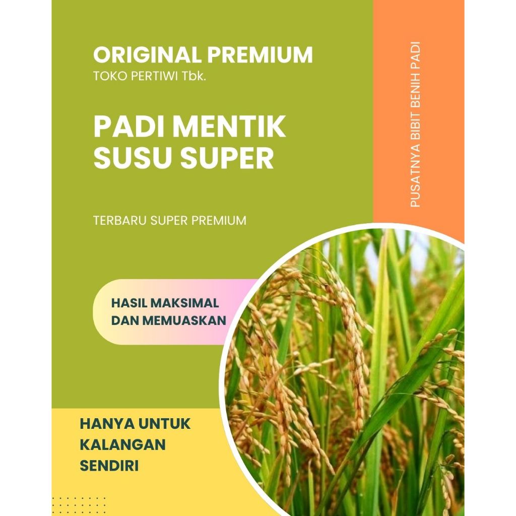 BIBIT BENIH PADI MENTIK WANGI SUSU SUPER PREMIUM KEMASAN 1KG