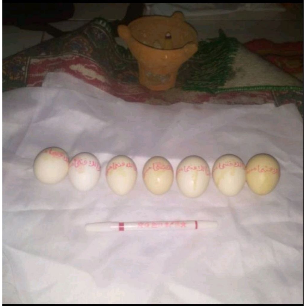 

TELUR S4WEG D4LI