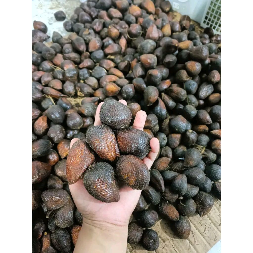 

salak pondoh 1 kg ukuran kecil