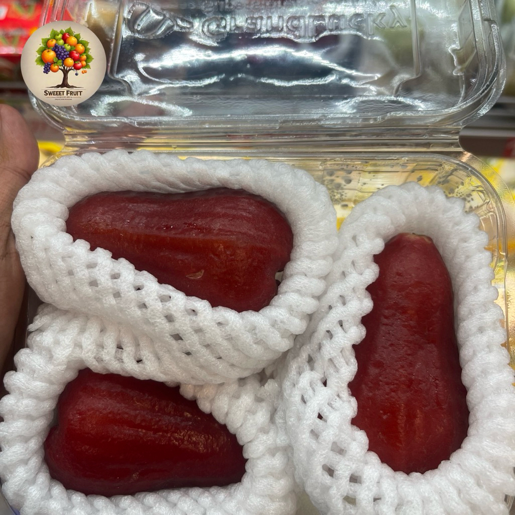 

Jambu Air Merah King Rose | Jambu Merah Kingros 500gram | Pack