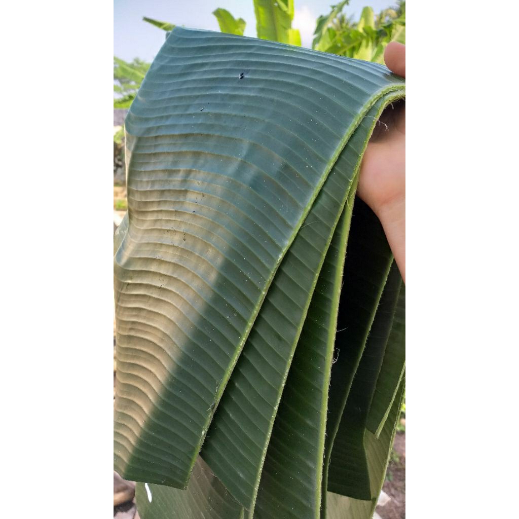 

Daun pisang segar 1 ikat