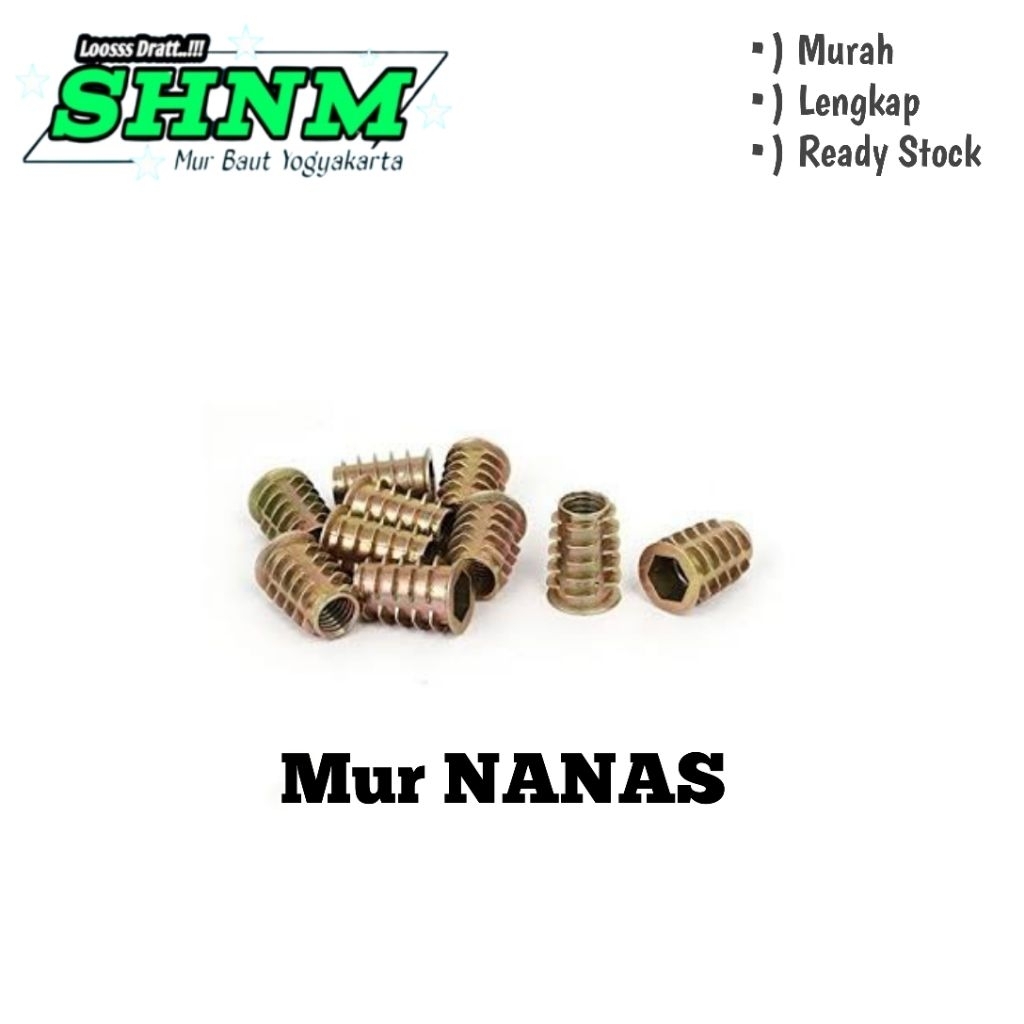 Mur NANAS M6x20 Mur Tanam Kayu