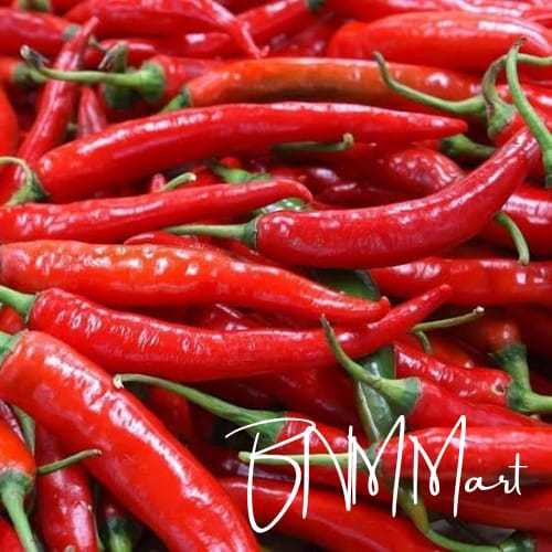 

CABE MERAH BESAR PREMIUM CABAI MERAH BESAR SORTIR LANGSUNG PETANI DAN PASAR INDUK 250 GRAM DAN 1000 GRAM SAYUR SEGAR PASTI REPEAT ORDER