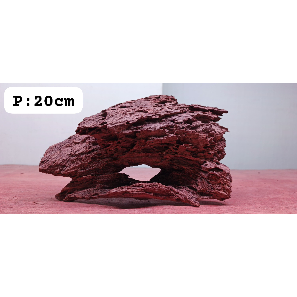 Xcamellyaa Kayu Santigi Laut Sudah Tenggelam Aquascape Berkarakter Hardscape