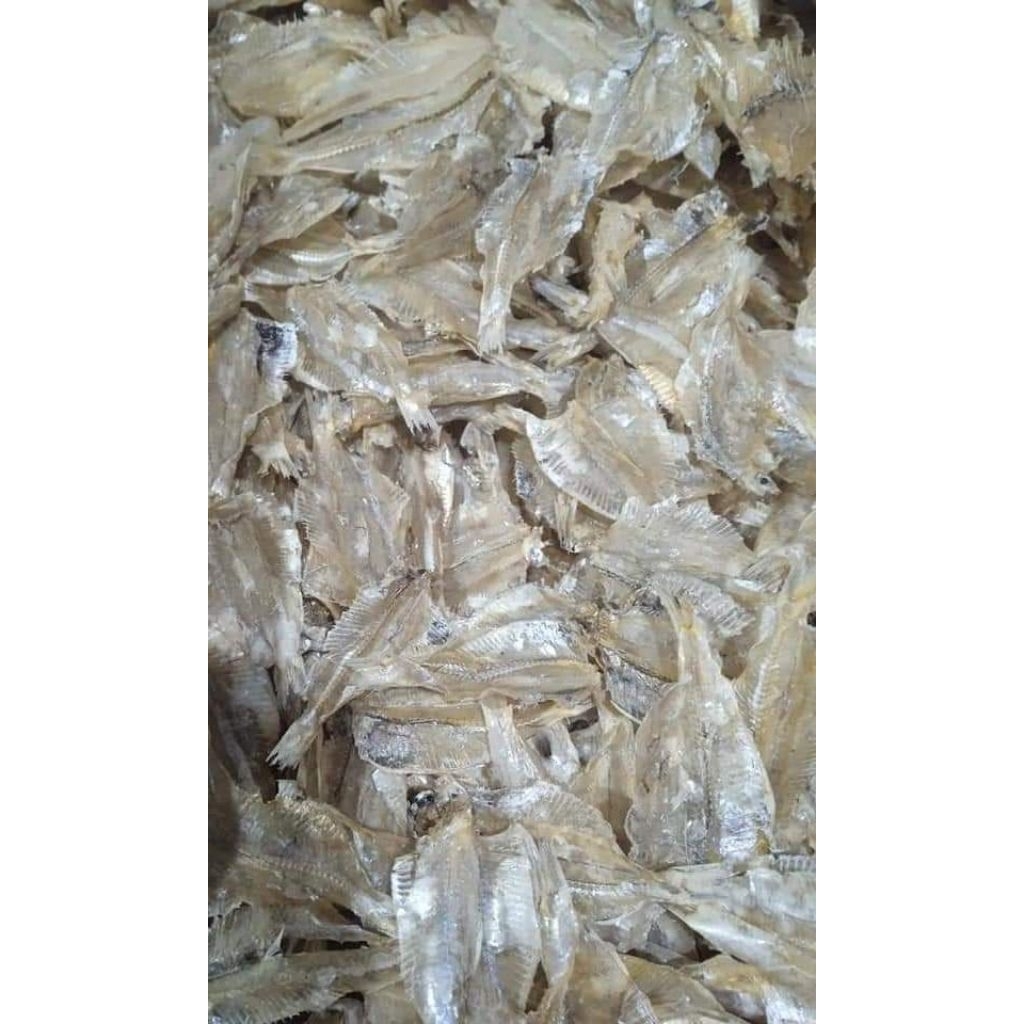 

Ikan Asin, Ikan Pakang / Ikan Kerupuk