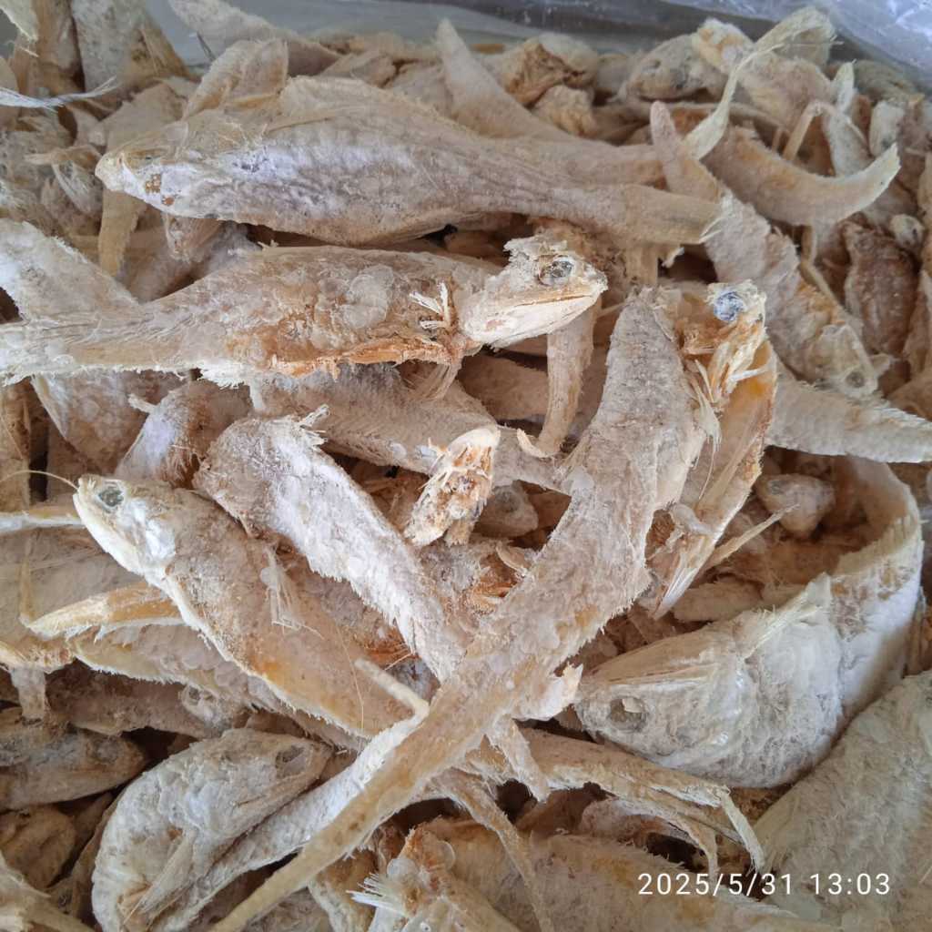 

Ikan asin bulu ayam kering 1 kg