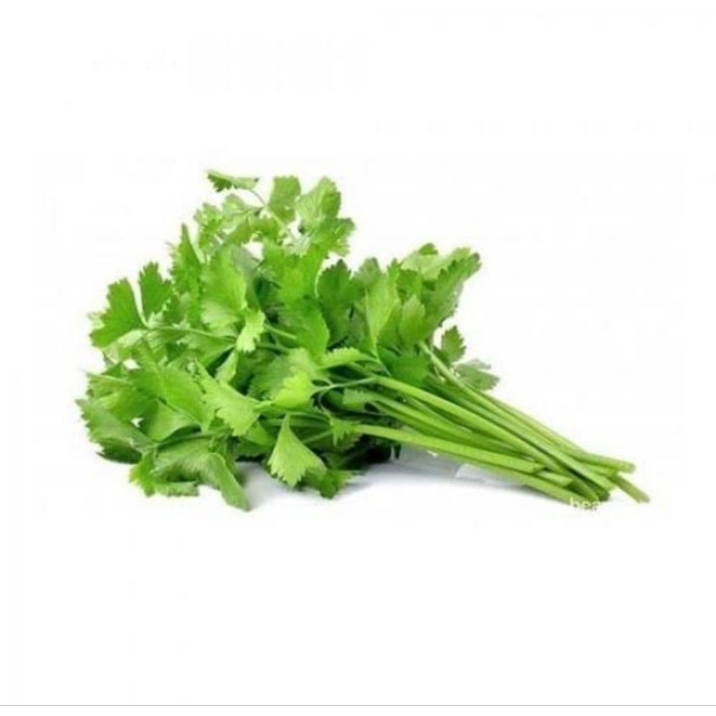 

Daun Ketumbar/ Wansui/ Cilantro Fresh Segar