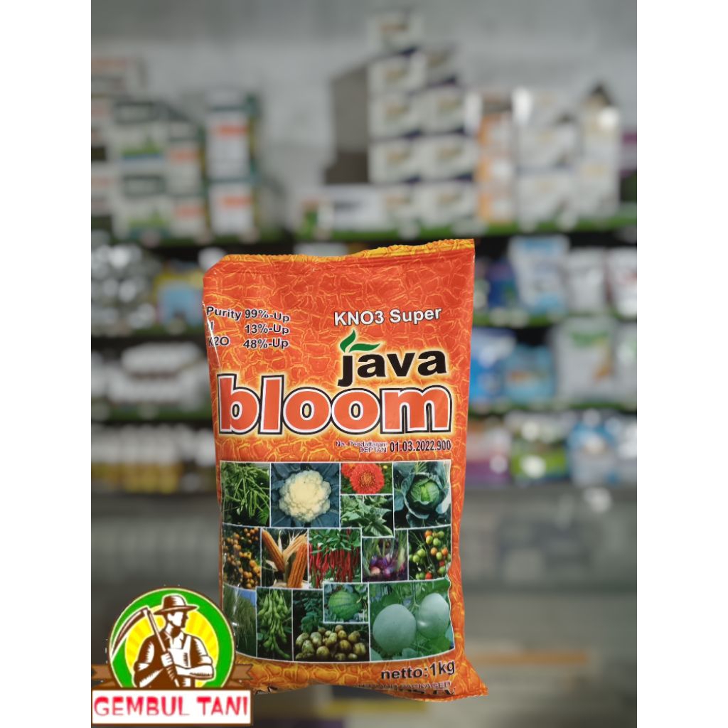 Java bloom - pupuk KNO3 super.