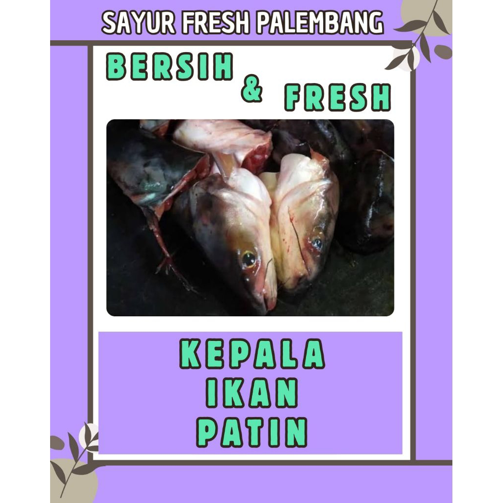 

KEPALA IKAN PATIN FRESH - PALEMBANG