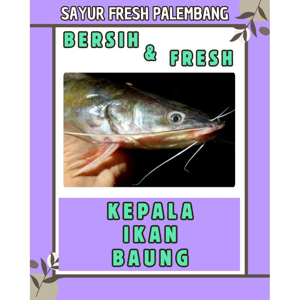 

KEPALA IKAN BAUNG LAUT FRESH 1 KG - PALEMBANG
