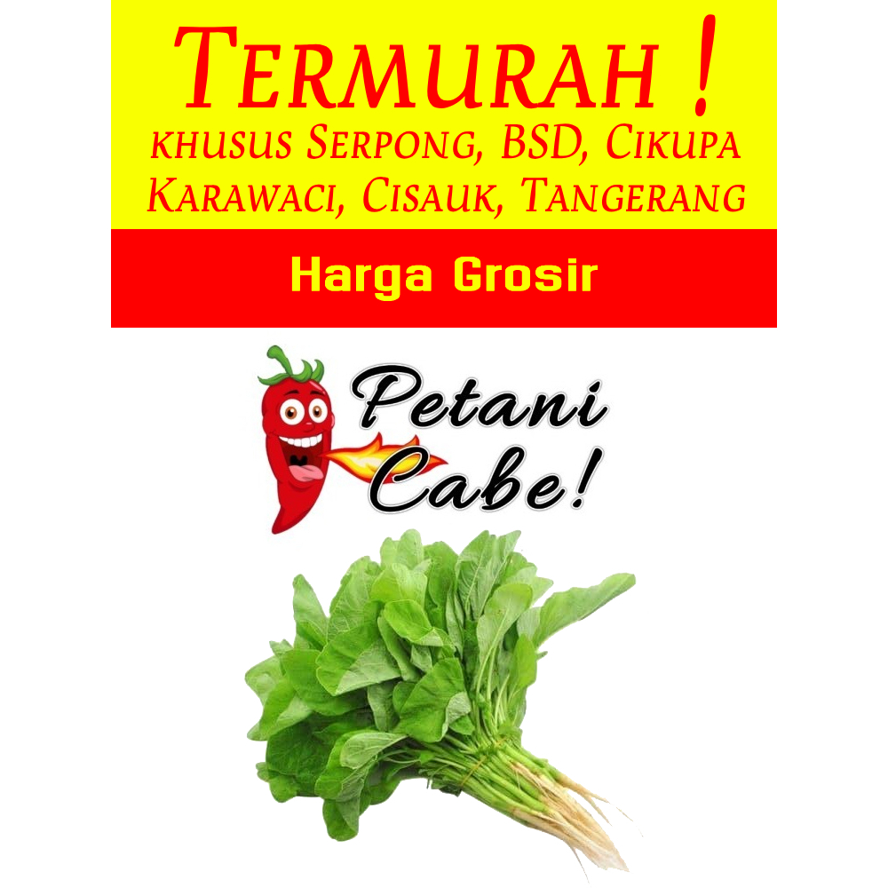 

Bayam 1 ikat Harga Grosir (Petani Cabe Serpong)