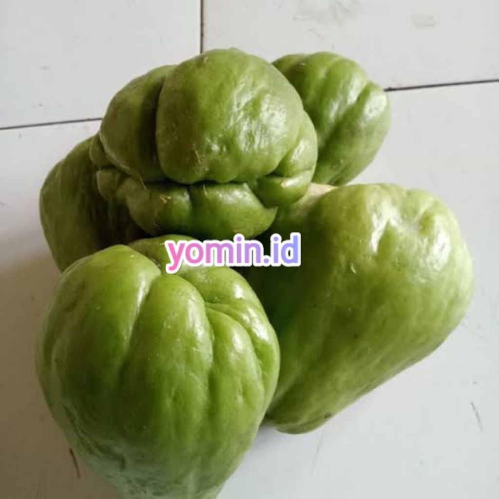 

Labu Jipang/ Sayur Jipang 1 Buah