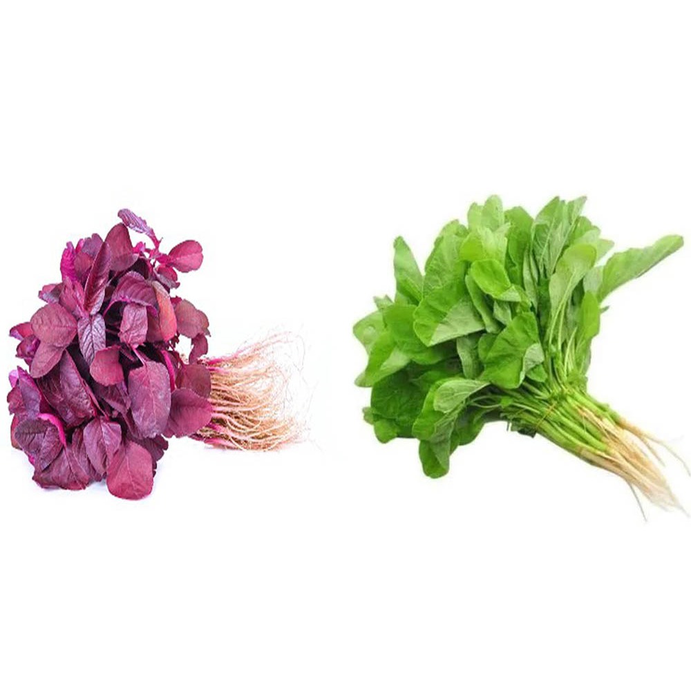 

Bayam, Bayam Merah, Kangkung