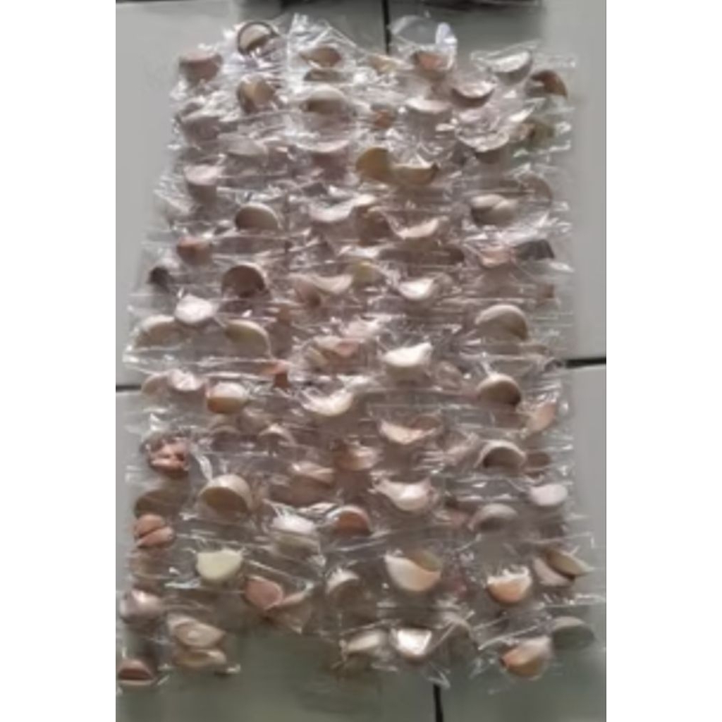 

bawang putih 1renteng isi 10pcs