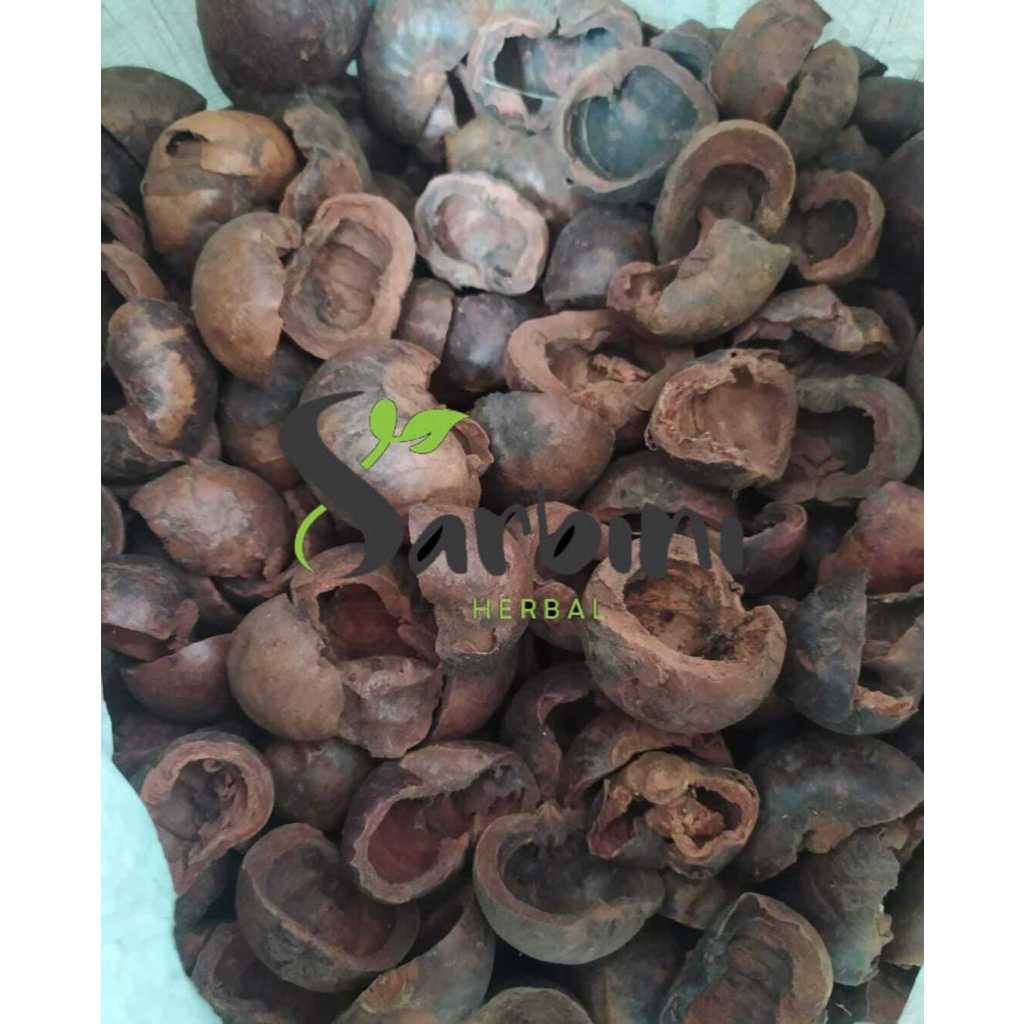 

Kulit Manggis Kering / Kering Kulit Manggis Kering / 500 gram / 1000 gram / Simplisia Kering Kulit Manggis / Kulit Manggis Kering Garansi Terjamin 100% Asli Murni / Bahan Kulit Manggis Kering / Bahan Kulit Manggis Kering Premium / Bahan Kulit Manggis
