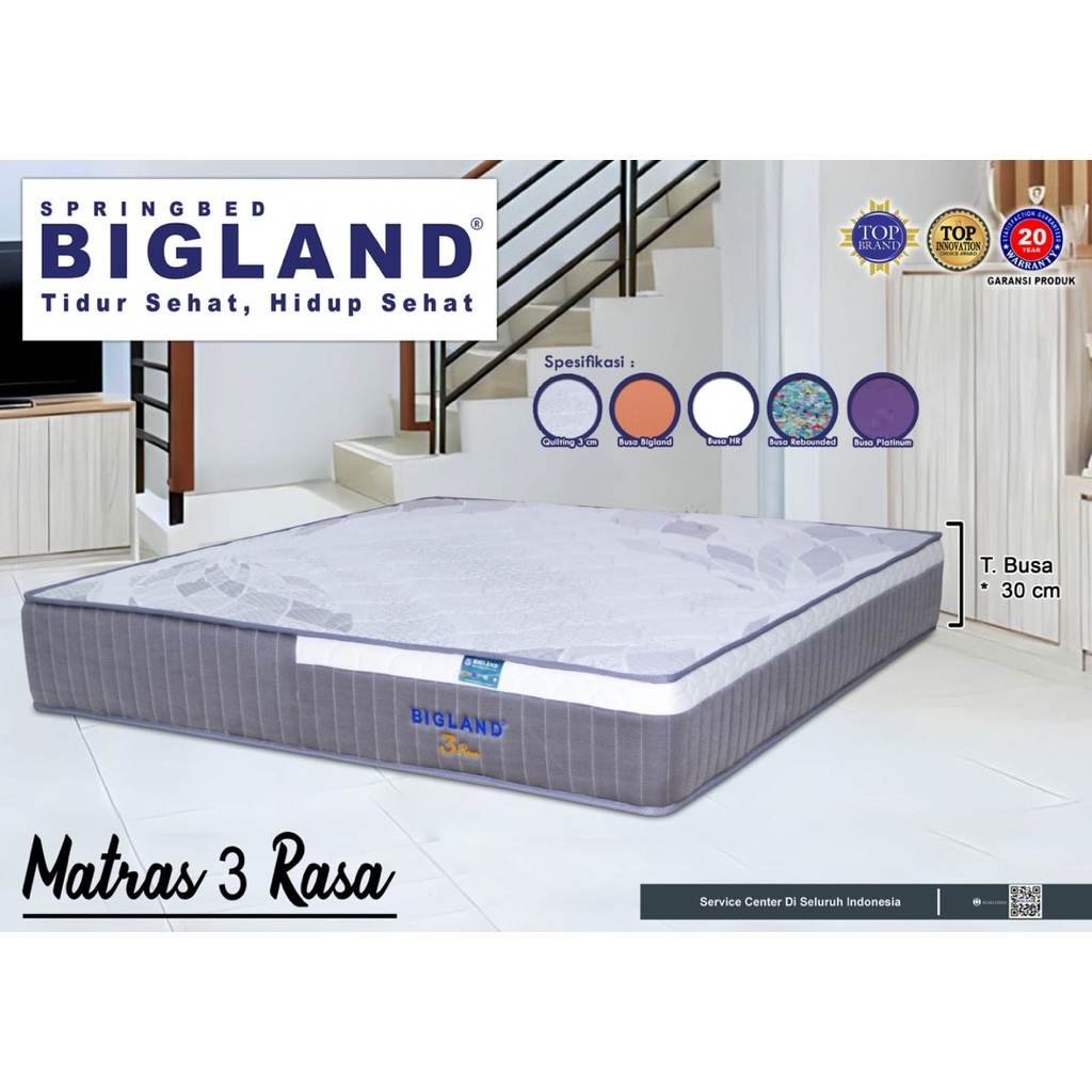 BIGLAND PLATINUM 30cm