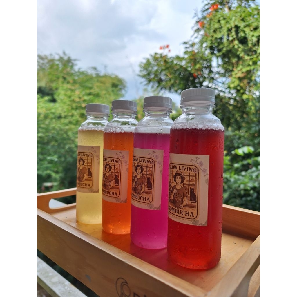 

Kombucha Strong Atau Starter