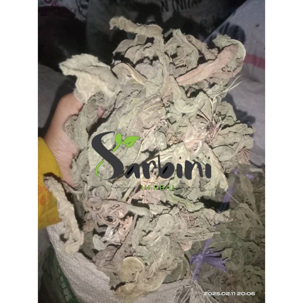 

Tapak Liman Kering / Kering Tapak Liman Kering / 100 gram / 250 gram / Simplisia Kering Tapak Liman / Tapak Liman Kering Garansi Terjamin 100% Asli Murni / Bahan Tapak Liman Kering / Bahan Tapak Liman Kering Premium / Bahan Tapak Liman Kering Murni