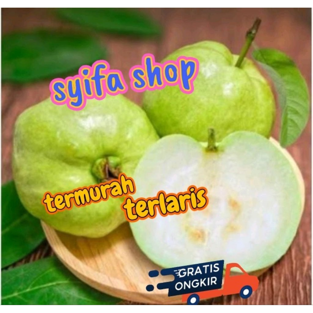 

jambu kristal apel Tanpa biji 1 kg + buble wrap