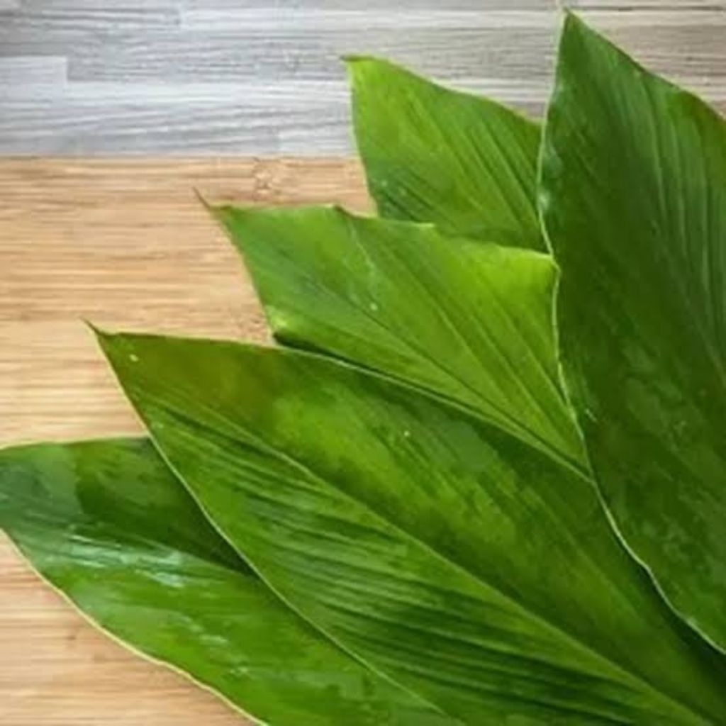 

Daun Kunyit Segar 1 Kg Petik Langsung