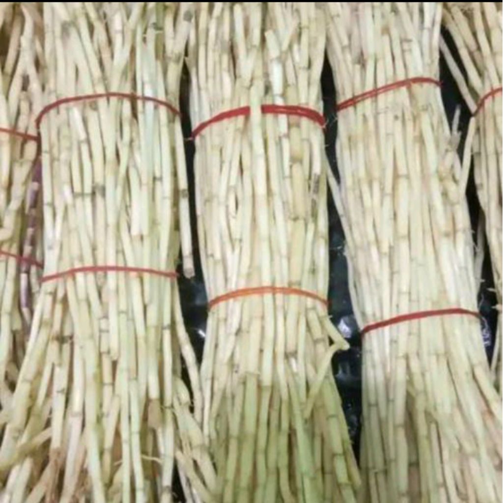 

akar Alang Alang 500gram akar Alang Alang (DADAKAN SETIAP ORDERAN)