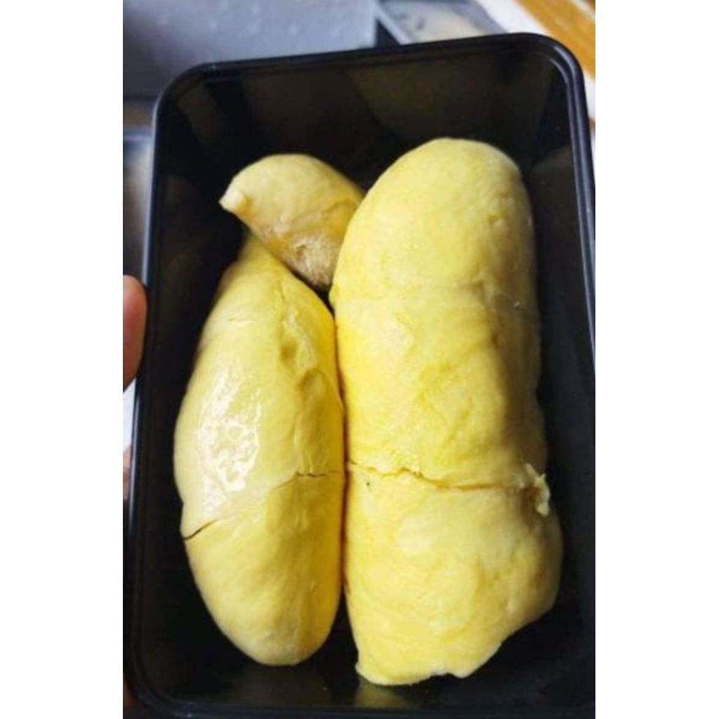 

DURIAN MEDAN 500GR | DURIAN MONTONG 500GR | DAGING DURIAN 1000GR | PANCAKE DURIAN