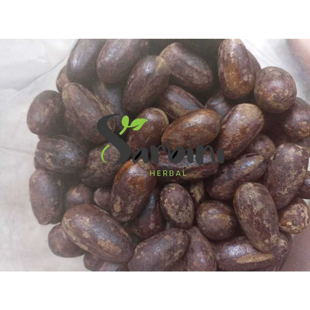 

Buah Pala / Polo Kering / Kering Buah Pala / Polo / 500 gram / 1000 gram / Simplisia Kering Buah Pala / Polo / Buah Pala / Polo Kering Garansi Terjamin 100% Asli Murni / Bahan Buah Pala / Polo Kering / Bahan Buah Pala / Polo Kering Premium