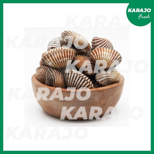 

Kerang Dara Fresh 500g/1000g