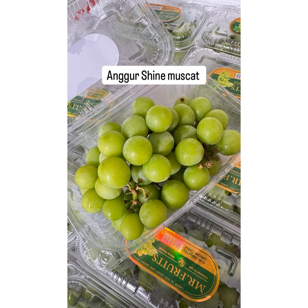 

ANGGUR HIJAU SHINE MUSCAT