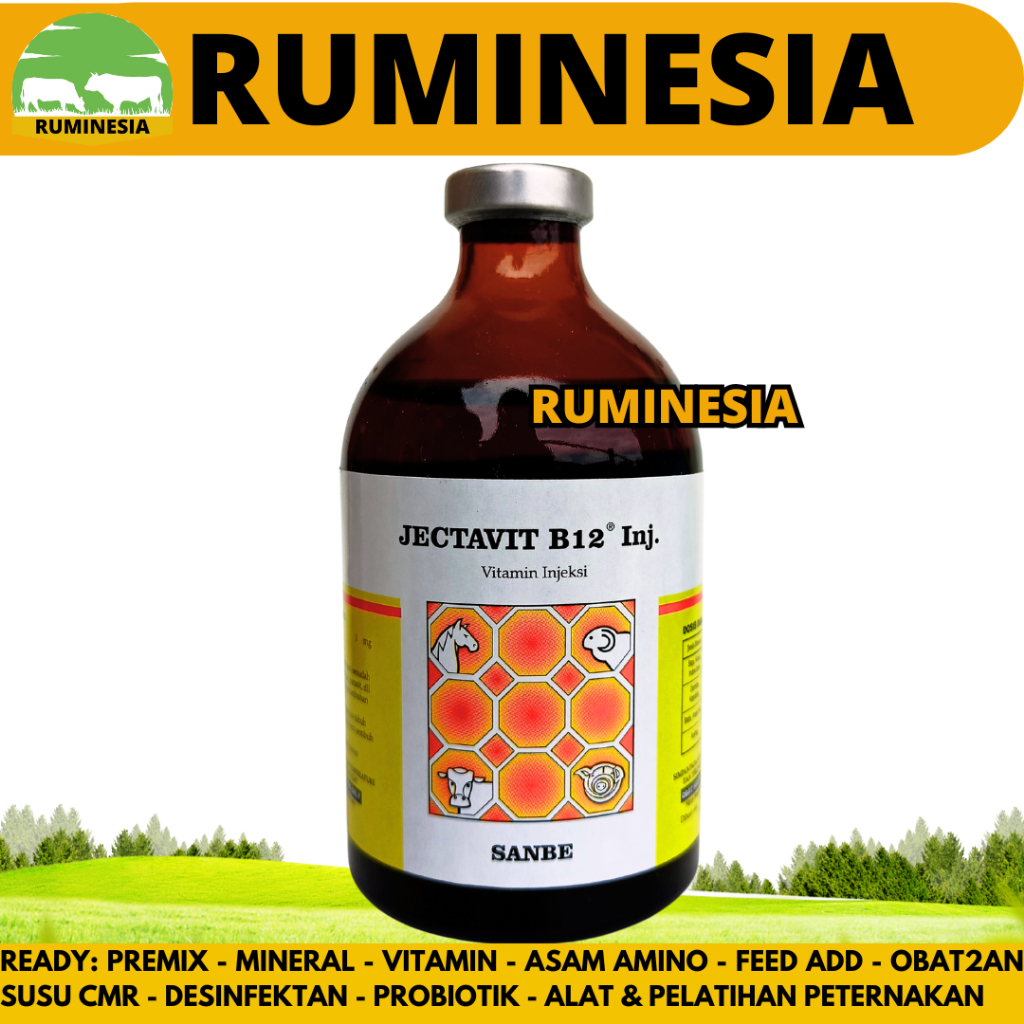 JECTAVIT B12 100ML SANBE - Vitamin B12 Sapi Domba Kambing Kuda Babi Kucing Jektavit - like Jectapros