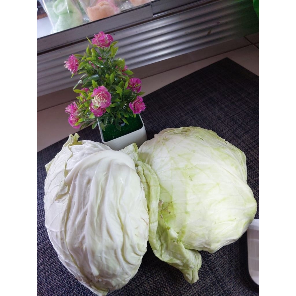 

Sayur Kol Segar Perbuah [1KG - 1.5KG] Sayur segar Bogor