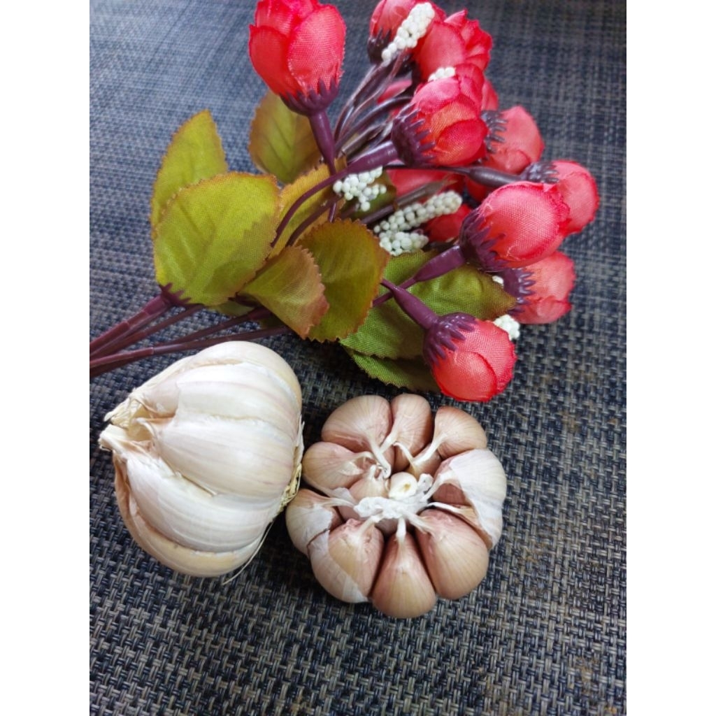 

Bawang Putih 250gr Fresh bersih / Sayur Segar Bogor