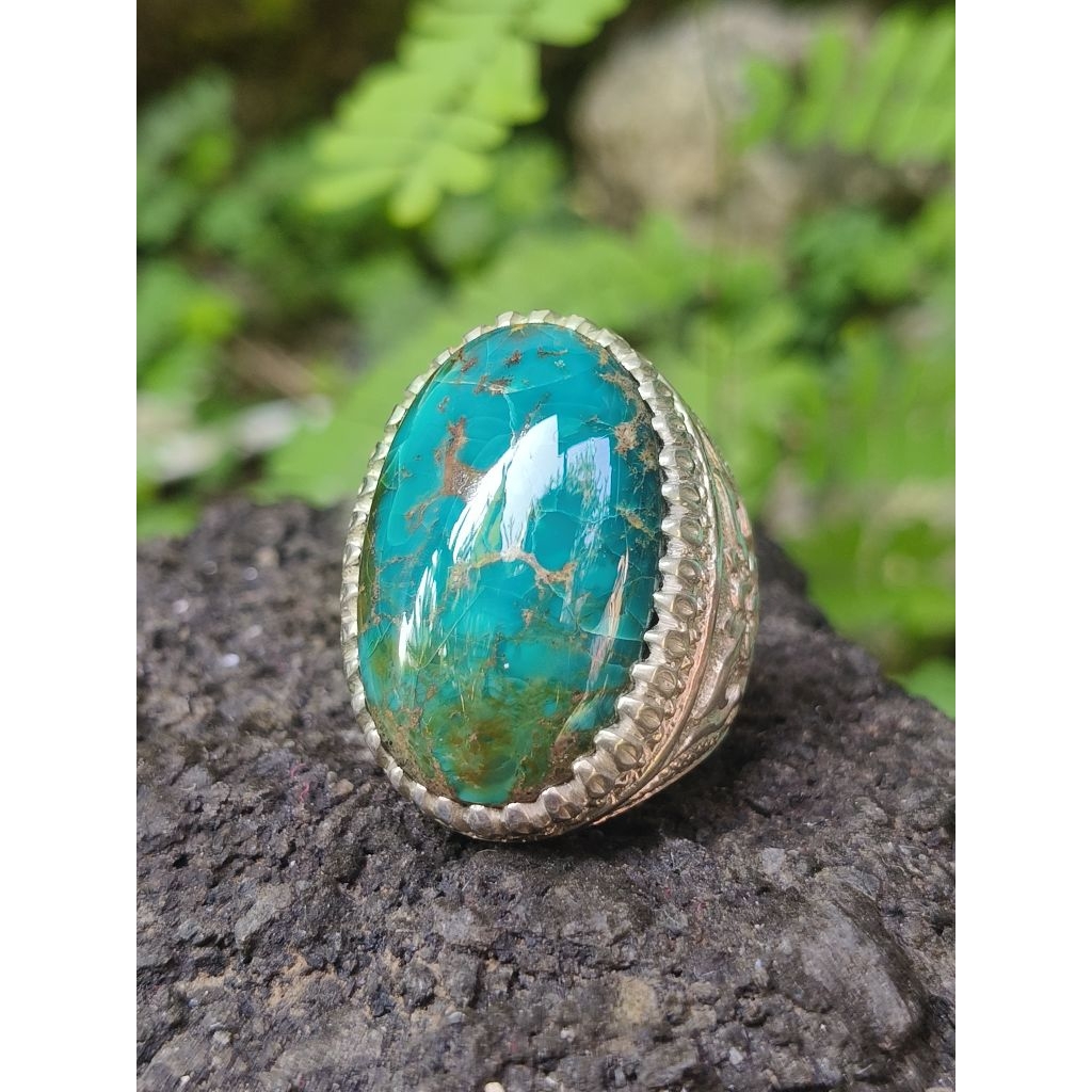 Pirus Persia ijo lawas