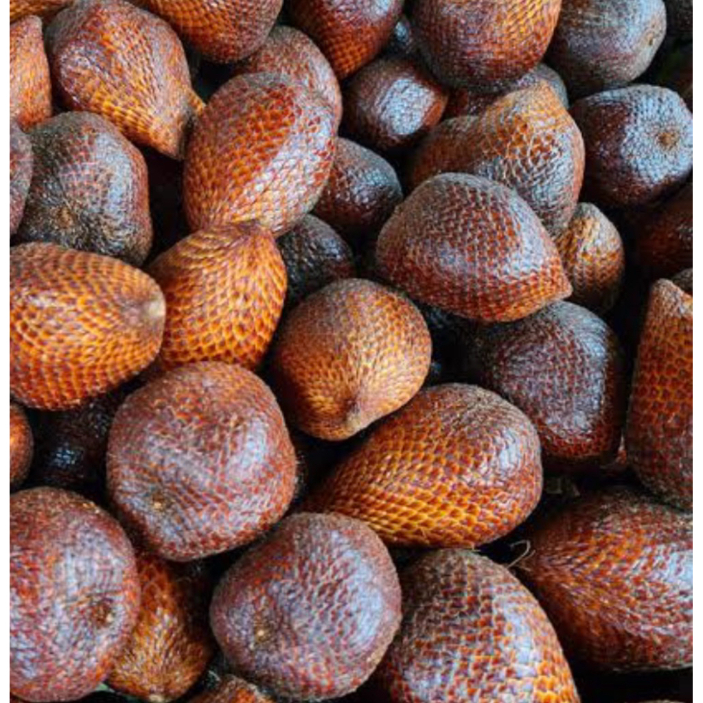 

BUAH SALAK PONDOH 1 KG