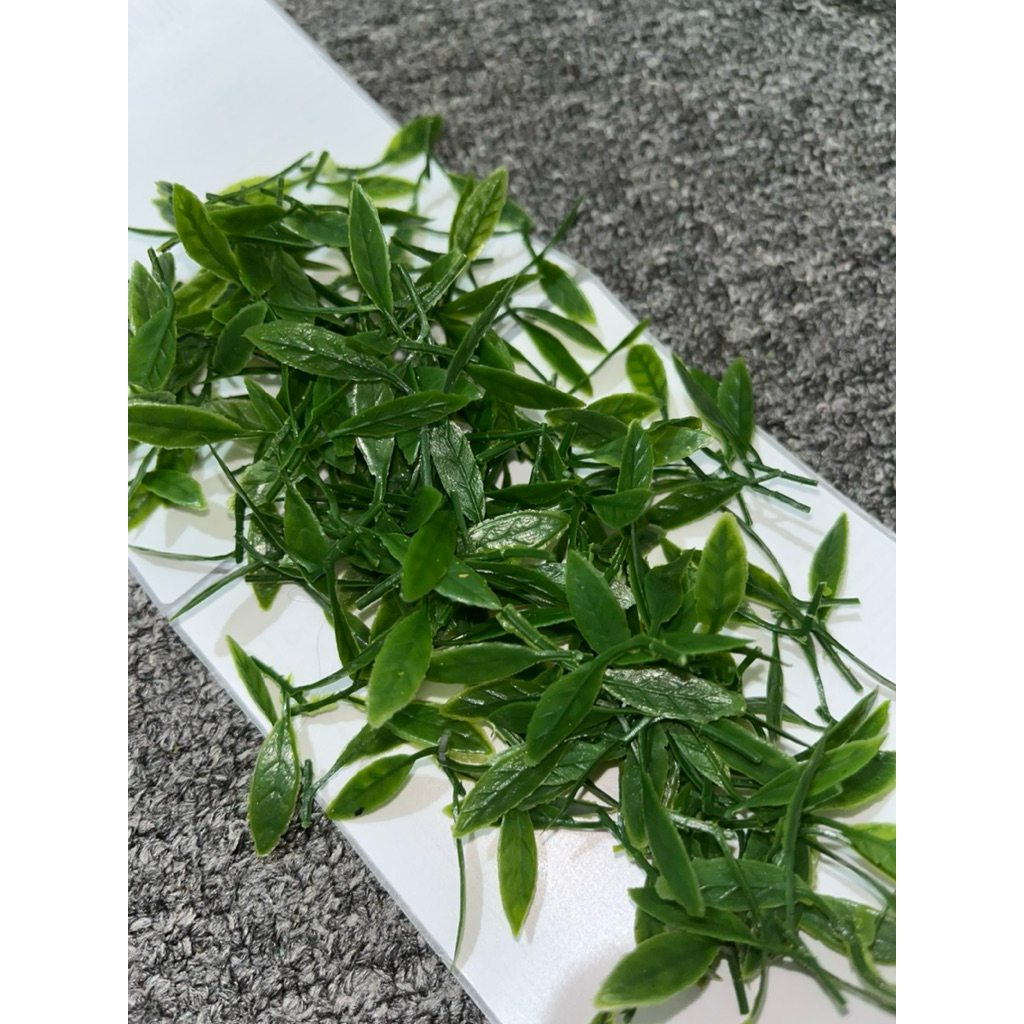 

Daun lukcup untuk jeruk isi 100pcs