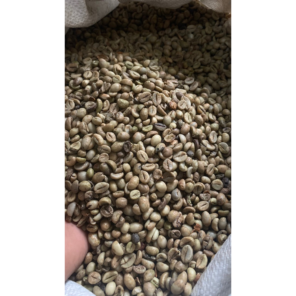 

Grenbean Asalan 2025 kemasan 5 kg