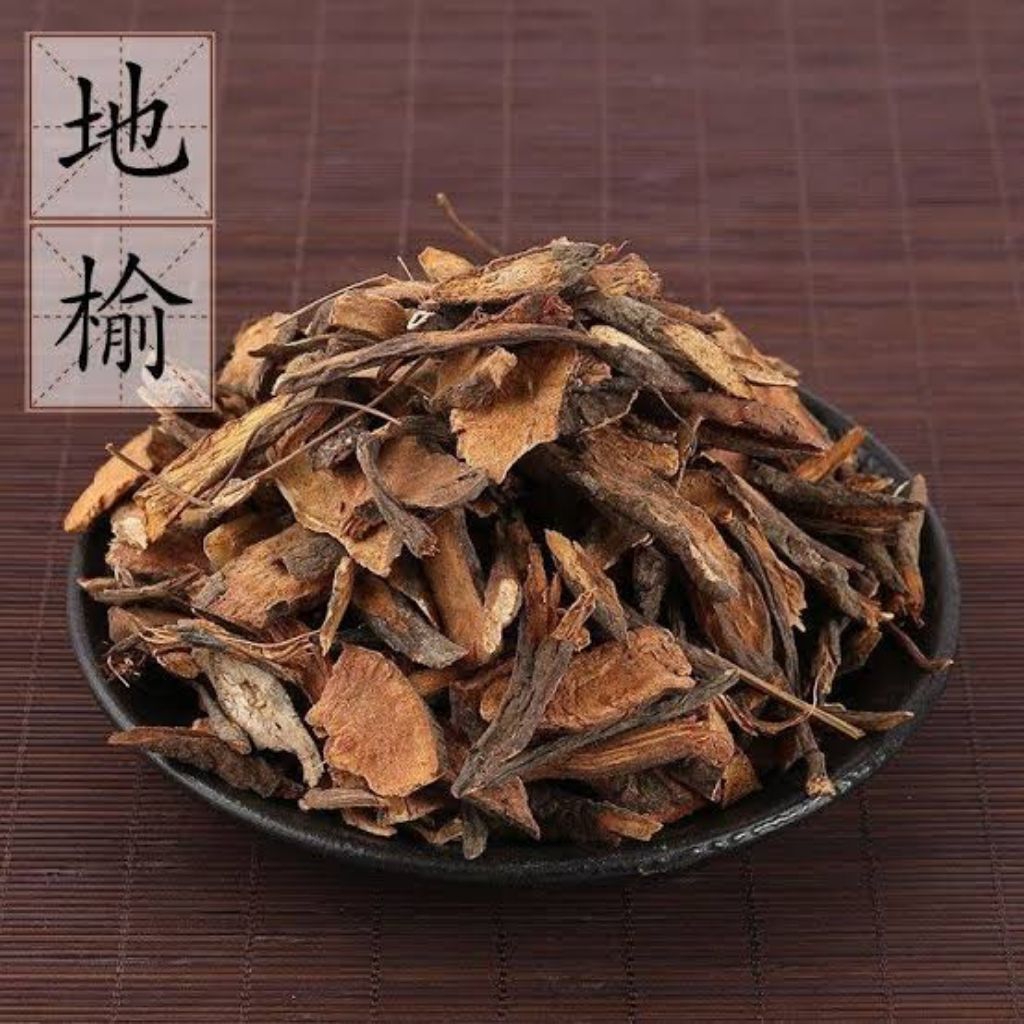 

Di Yu (Iris)/ 地榆 (Iris)/ Sanguisorba officinalis Linn