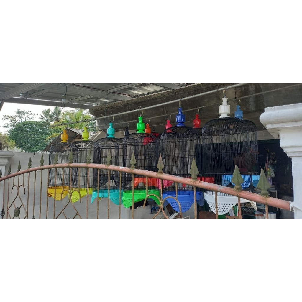 kandang kurung kapsul burung lovebird lb