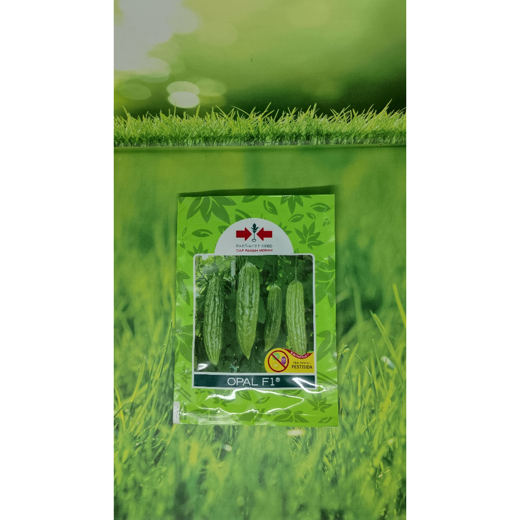 

Benih Pare Opal F1 Cap Panah Merah