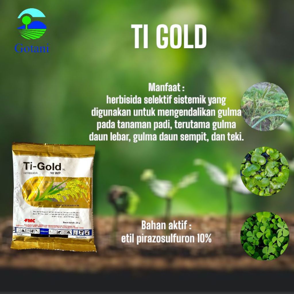Herbisida TI-GOLD 10WP 25gr