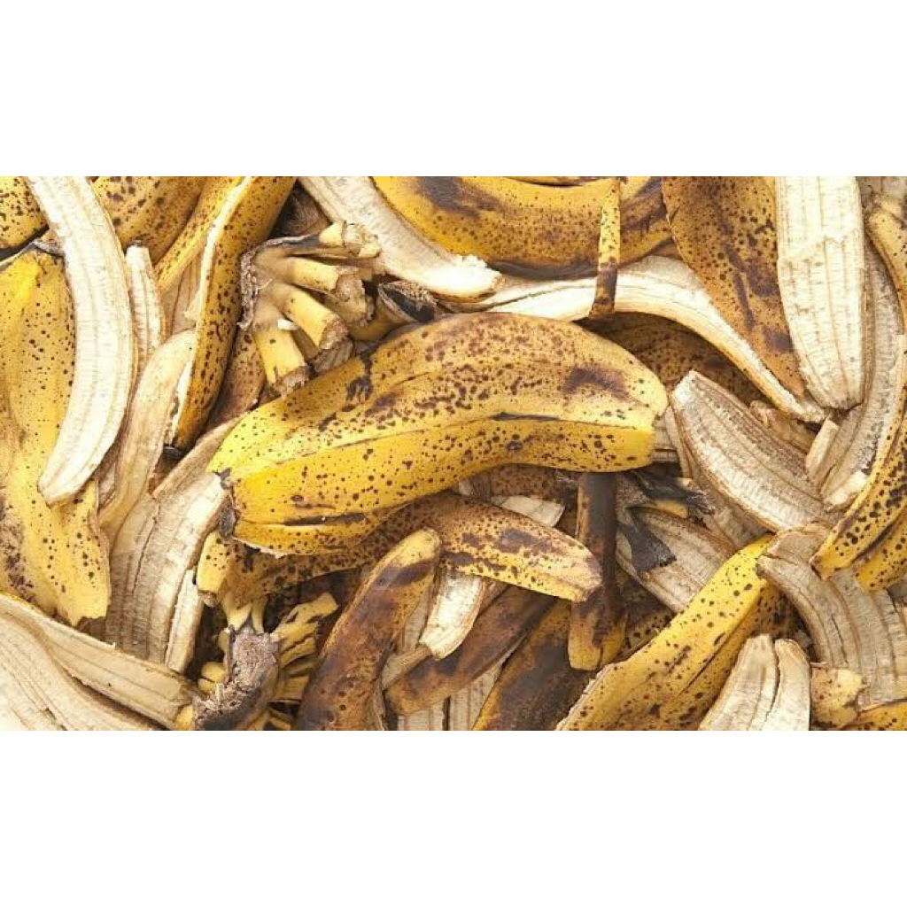 

Kulit Pisang Per 1kg