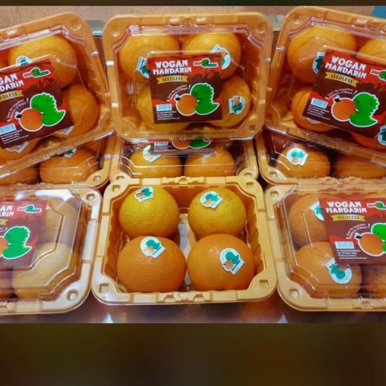 

Jeruk Wogan Dinofresh Seedless Berat 500gram /pack