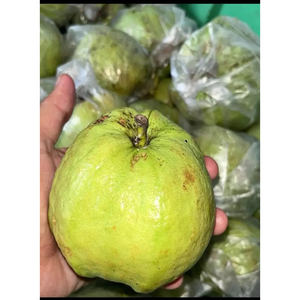 

Jambu kristal