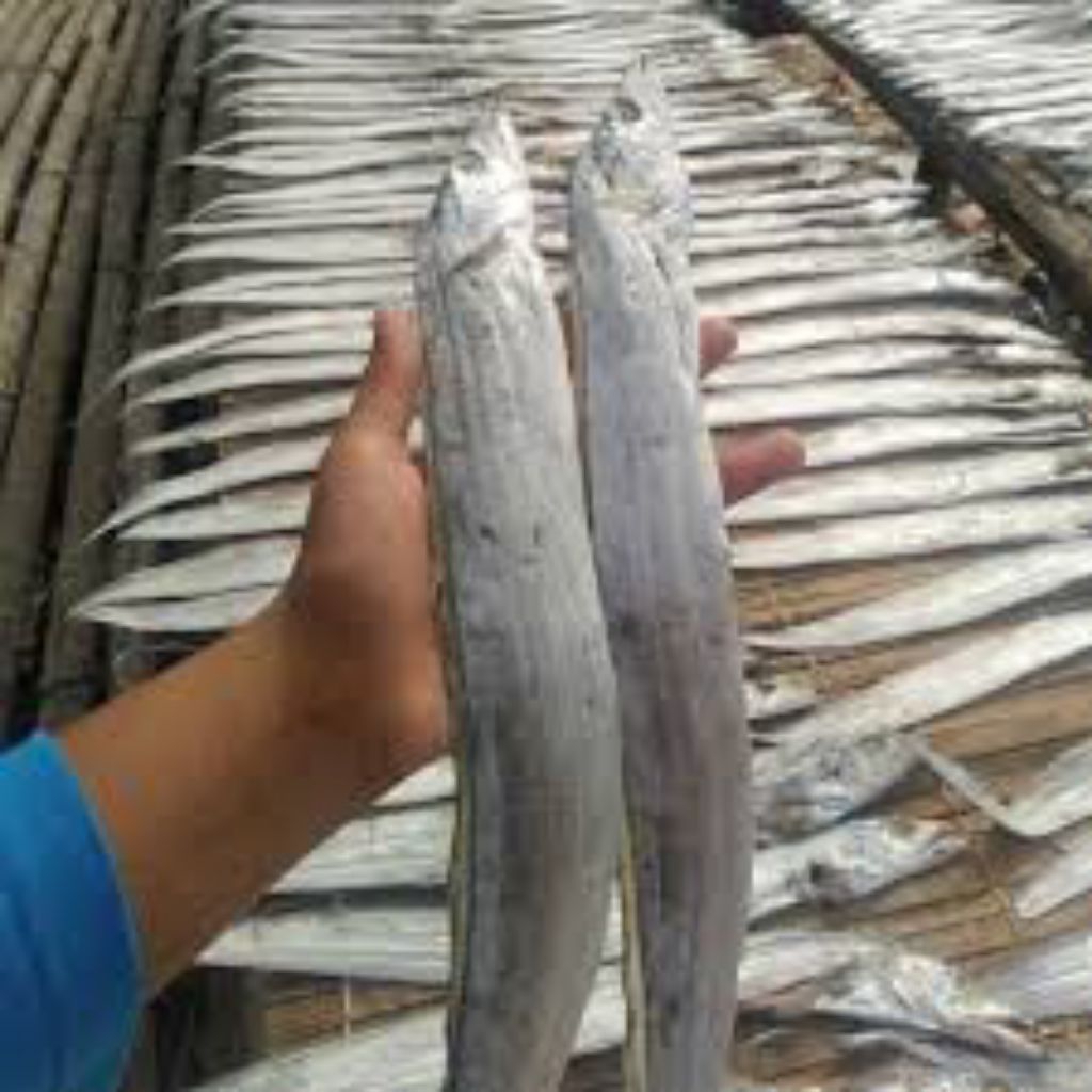 

ikan asin layur berkualitas 200gram