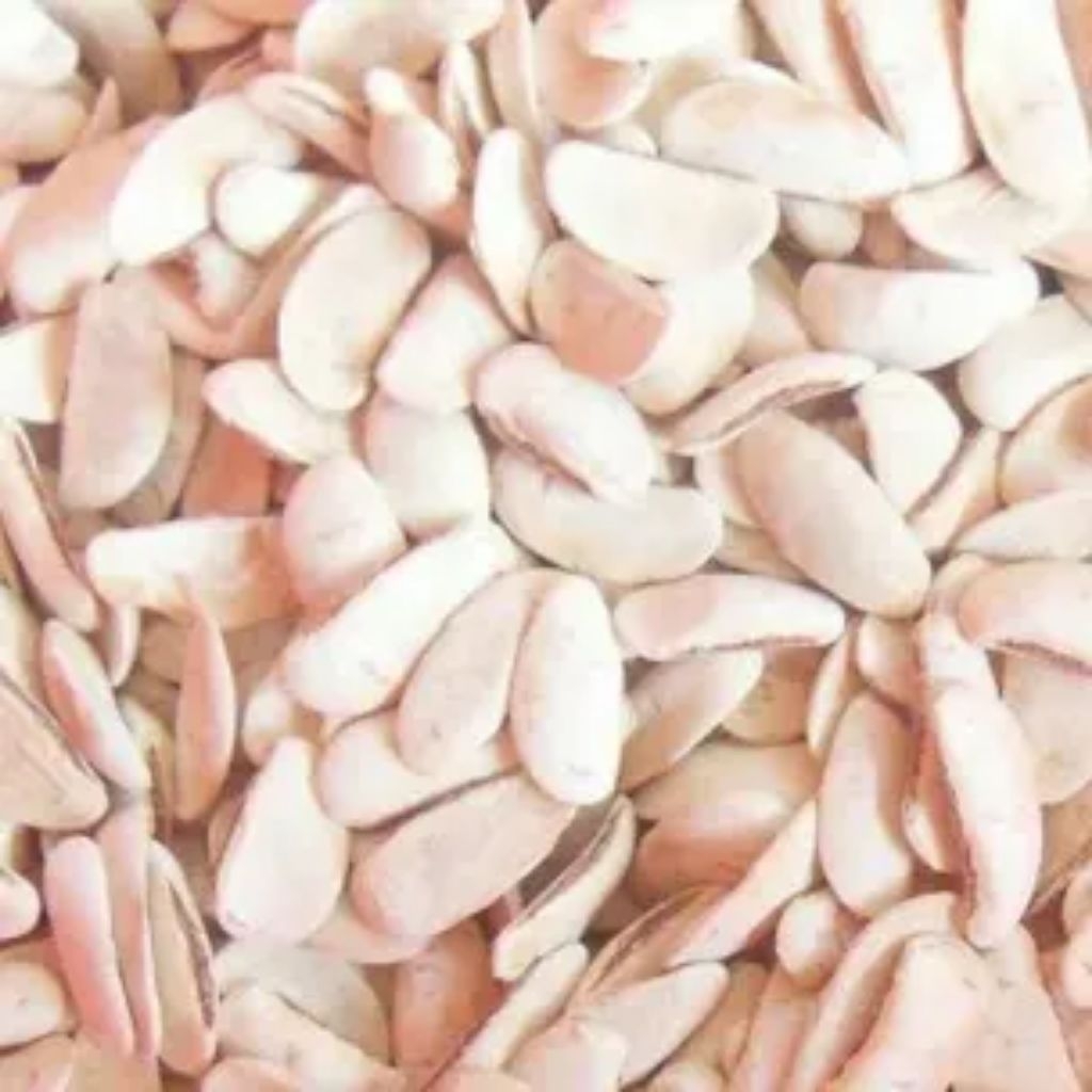 

100 BIJI MAHONI KUPAS MAONI