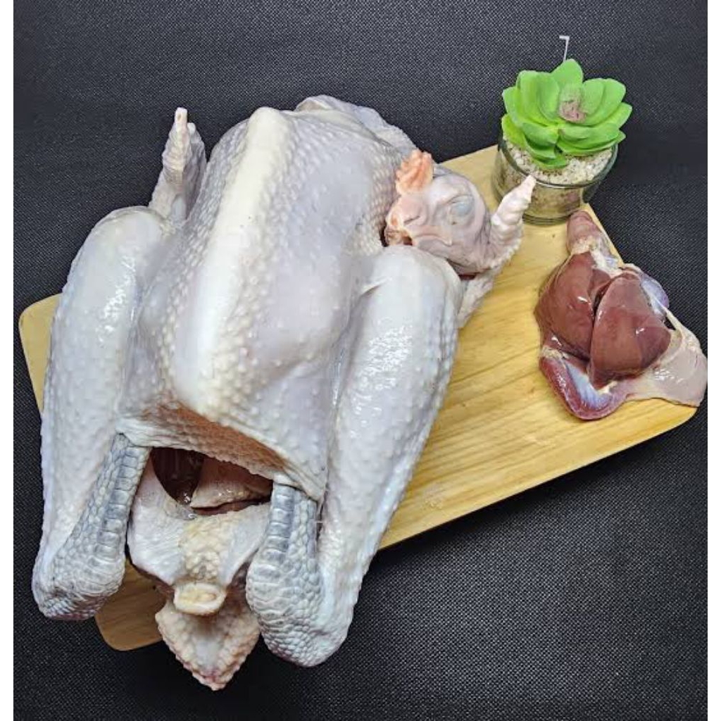 

Ayam kampung segar/ ayam kampung fresh/ ayam kampung pasar pagi 2kg -+