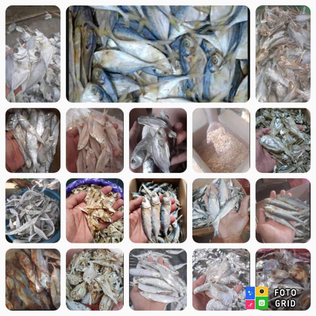 

ikan asin murah serba 5000
