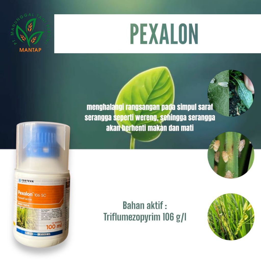 Pexalon 100 Ml