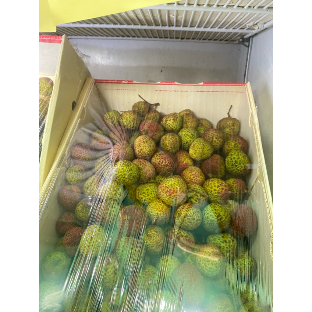 

INSTAN BUAH LECI